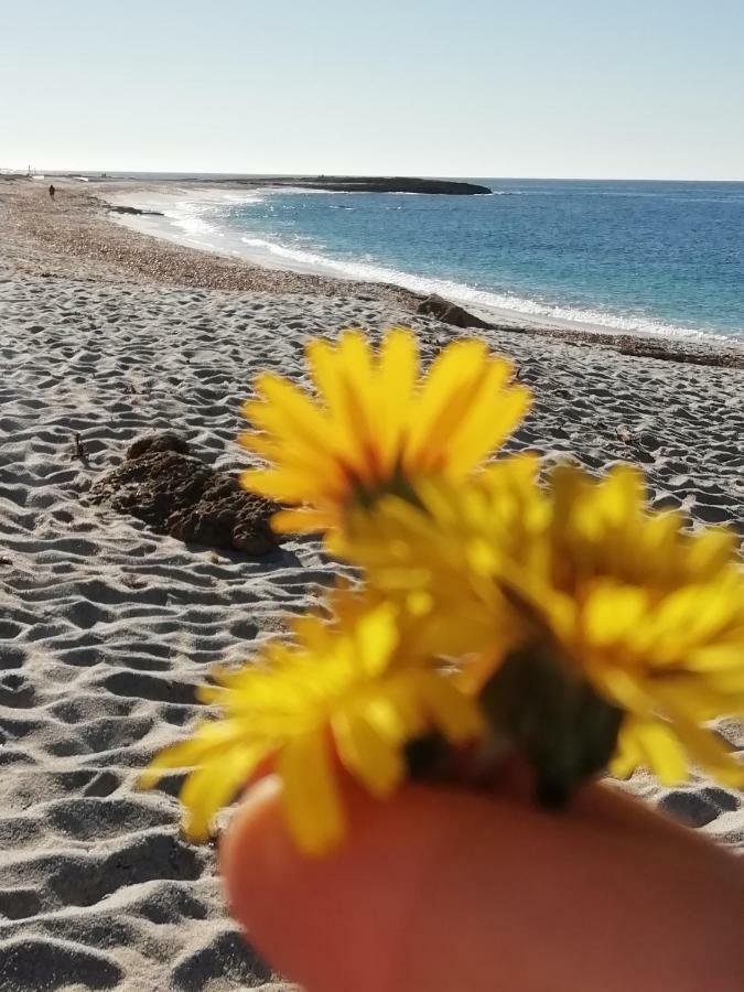 Sardinia For Gasthof